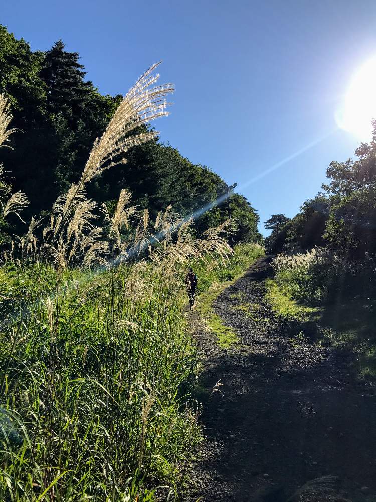 お出かけ先の画像 by sicksさん | お出かけ先とススキとハイキング・登山と登山道と会津磐梯山