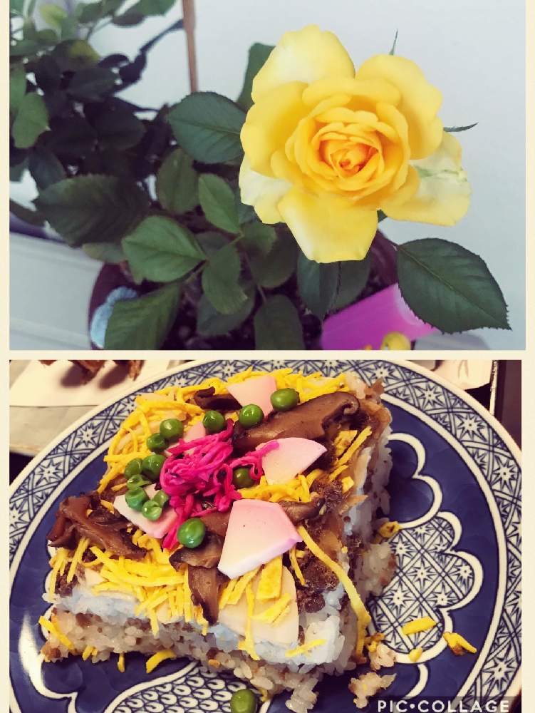 バルコニー/ベランダの画像 by ふくさん | バルコニー/ベランダと薔薇と黄色い薔薇と花のある暮らしとしぞーか勢