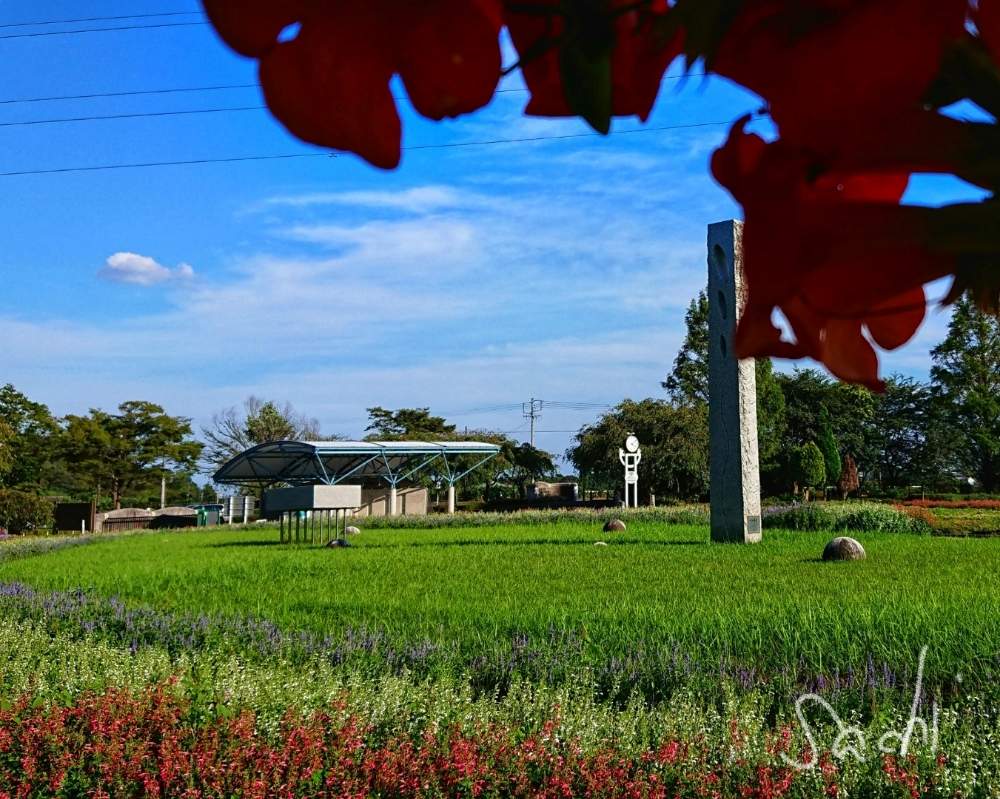 お出かけ先の画像 by sachiさん | お出かけ先とサルビアとノウゼンカズラと残したい風景と今日の花便りと花のある暮らしと寄り道と鈴鹿・亀山