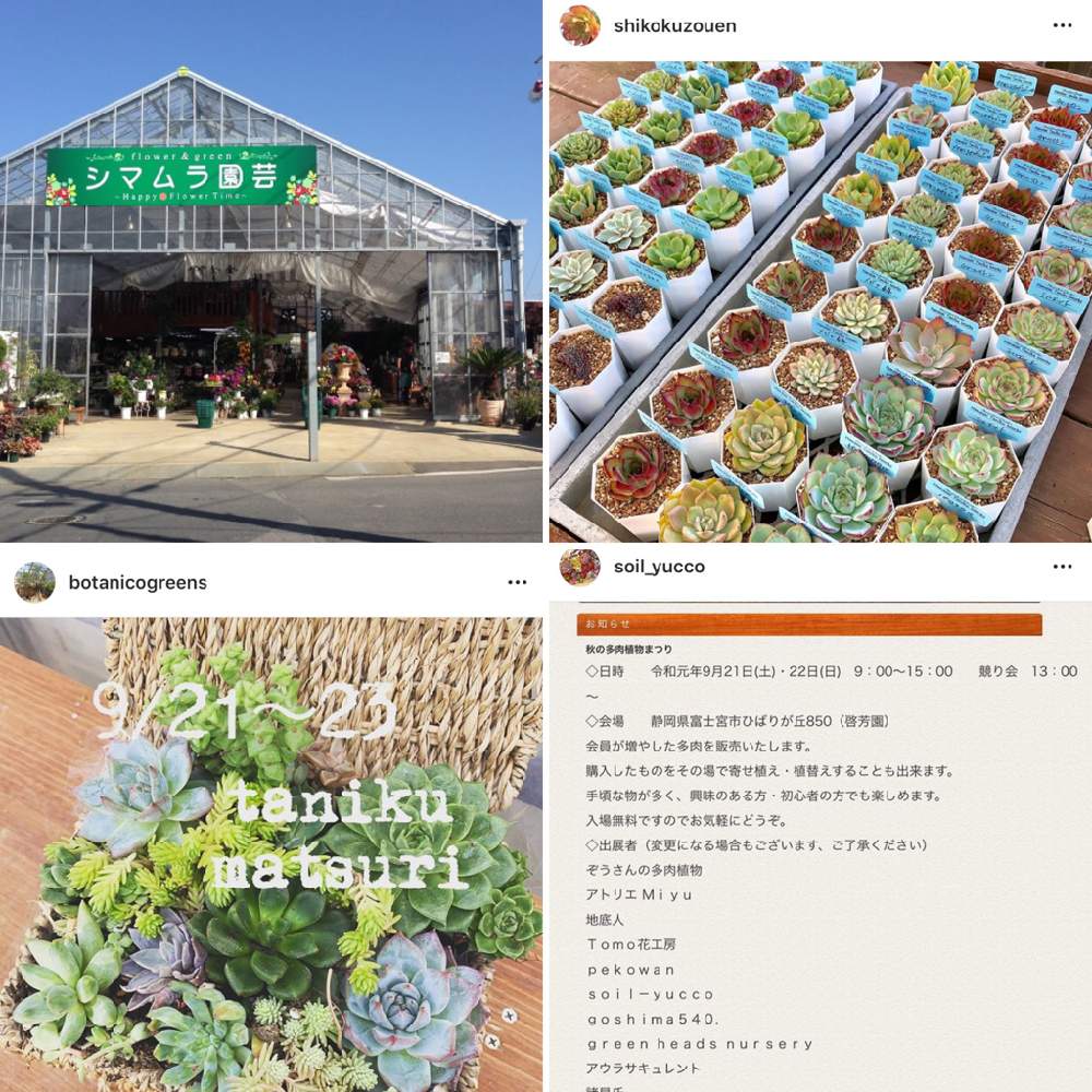 バルコニー/ベランダの画像 by 花彩~hanasai~店長さん | バルコニー/ベランダと多肉植物とHanasai苗と千葉多肉会とHanasaiTanikuWorksと宣伝させて❗と可愛い❤と多肉ちゃんと皆さんに感謝とタニラーとドキドキとHanasaiSucculentと花彩hanasaiと柏からと多肉寄せ植えとルンルン♪とワクワク♡と楽しい時間とsucculent