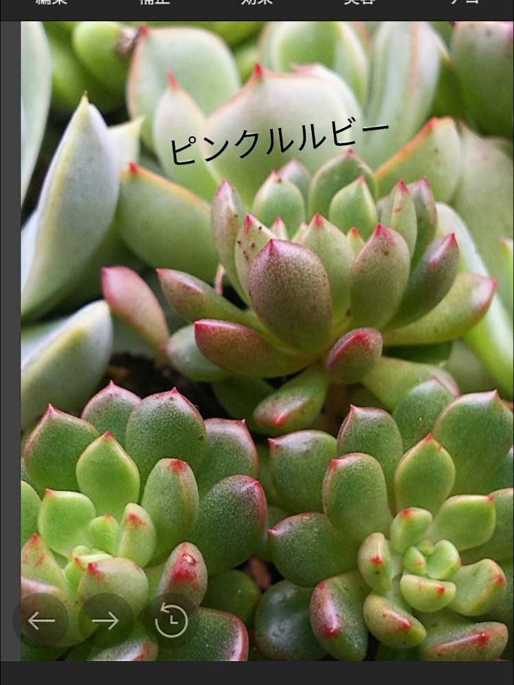 棚の画像 by keiさん | 棚