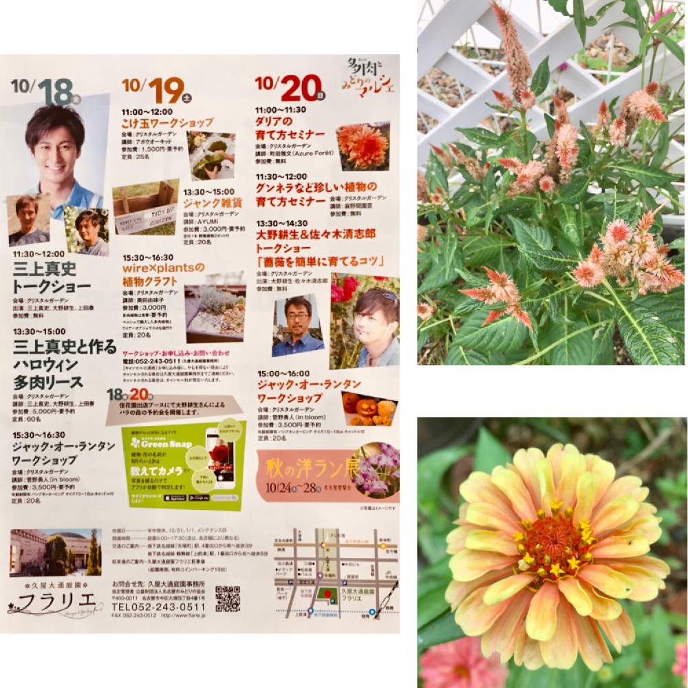 の画像 by Mの森さん | HTCと多肉とみどりのマルシェと植中毒と名古屋フラリエと花のある暮らしとマルシェ出店のお知らせ