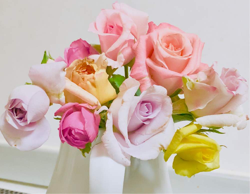 キッチンの画像 by メグさん | キッチンと元気いっぱいとおつかれさまとばら バラ 薔薇と薔薇愛同盟といつもありがとう♡と癒しと私のこだわりバラとGS日和と頑張ってと森のがっこうと小さな幸せ♡と可愛いと花のある暮らしとお花のある生活と薔薇♪
