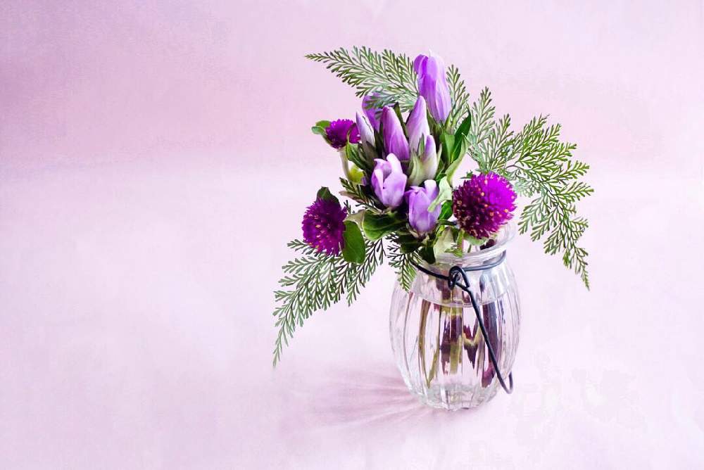 インテリアの画像 by shionさん | インテリアとWEEKEND FLOWERとリンドウ科と青山フラワーマーケットと緑のある暮らしとセンニチコウ(千日紅)と花のある暮らしとweekendflowerとGreensnap