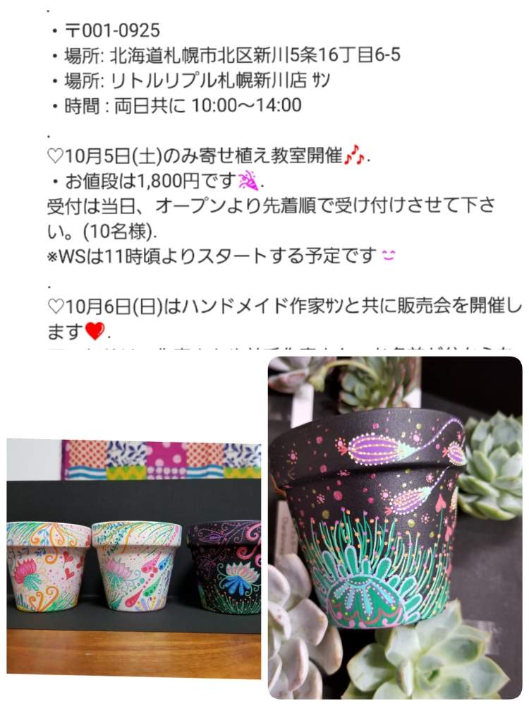 インテリアの画像 by 蓮さん | インテリアと多肉植物と大和高原の多肉屋さん
