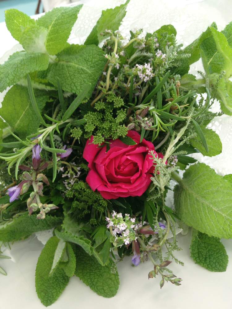 の画像 by herbさん | ハーブの花束♡とハーブの有る暮らしとハーブ タイムと花のある暮らしとタッジー・マッジーとハーブ教室