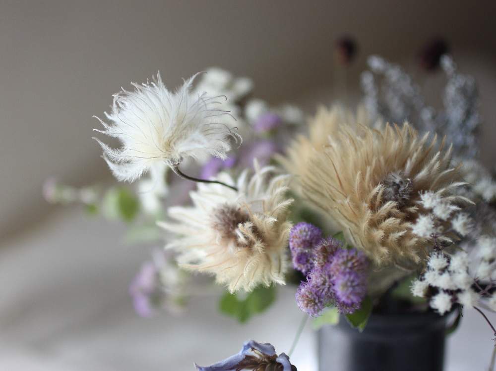 の画像 by cozycozy*さん | 植物のある暮らしとボタニカルライフとドライフラワーと花のある暮らしと小さな幸せ