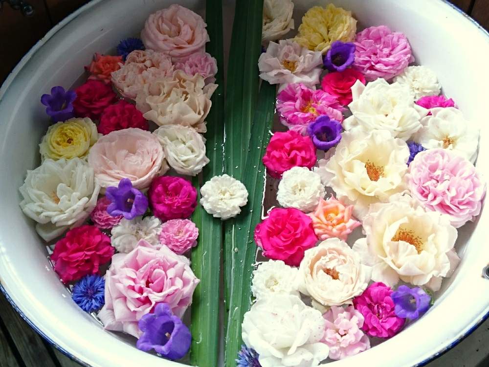 お出かけ先の画像 by yumeeeさん | お出かけ先と今日もがんばろとおつかれさまとお仕事ご苦労様とやさしい色と癒されたいと緑のある暮らしと元気もらえると今日も元気でと笑顔になれる♪とピンク色の花と気をつけてねと花のある暮らし