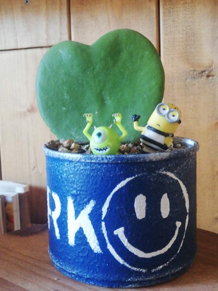 部屋の画像 by ✳nao-ryf♥✳さん | 部屋と観葉植物とあっつい☀️と癒しと葉っぱとうまく育ちますようにと晴れた日