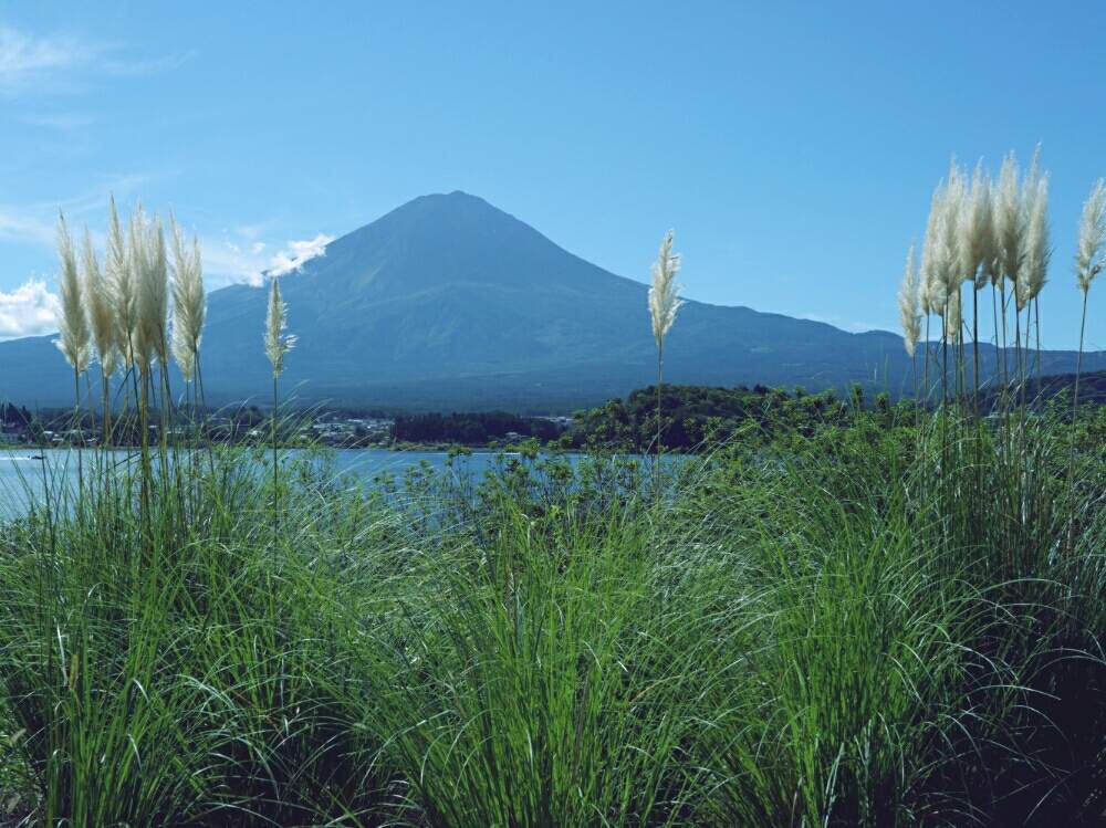 お出かけ先の画像 by misaoiさん | お出かけ先と花のある暮らしと河口湖
