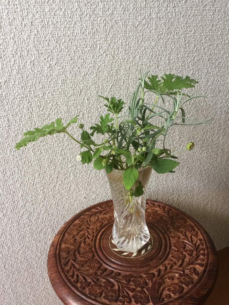 部屋の画像 by (^^)pip〜♪さん | 部屋とハーブとプレゼントと花のある暮らしとタッジーマッジー