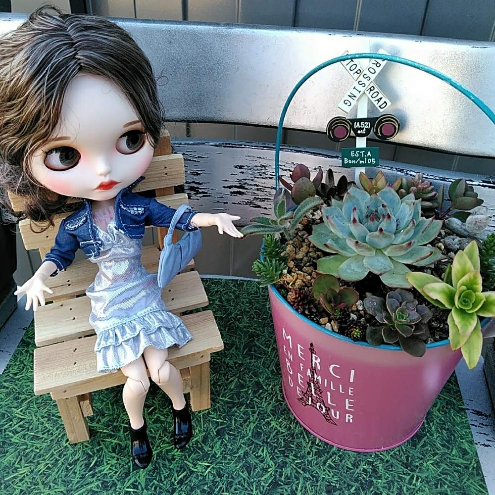 インテリアの画像 by 華ちゃんさん | インテリアとよせ植えと桃太郎☆とGS映えと秋の気配と多肉女子と可愛いといやされると多肉寄せ植えと素敵便とつながりに感謝