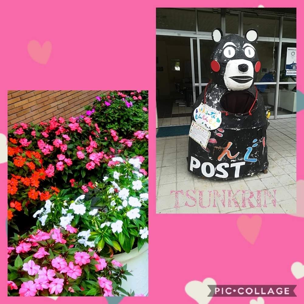 お出かけ先の画像 by つんくりんさん | お出かけ先とサンパチェンス☆と公園と緑のある暮らしと動物と横浜市とどんぐりの実ときれいな色と花のある暮らしとかわいいと木の実