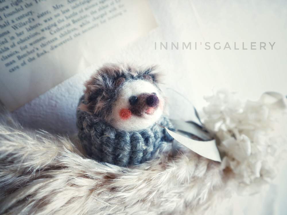 インテリアの画像 by Izumiさん | インテリアとinnmi'galleryとHTCとマダム倶楽部会員No.38と可愛い(*ノωノ)ポッと植物のある暮らしとたにおたくらぶNo177と パンパスグラスとCanon EOS M100とhttps://minne.com/innmiとミラーレス一眼と可愛いと花のある暮らしと(ΦωΦ)フフフ…とたにおたくらぶとminneと((๑✧ꈊ✧๑))