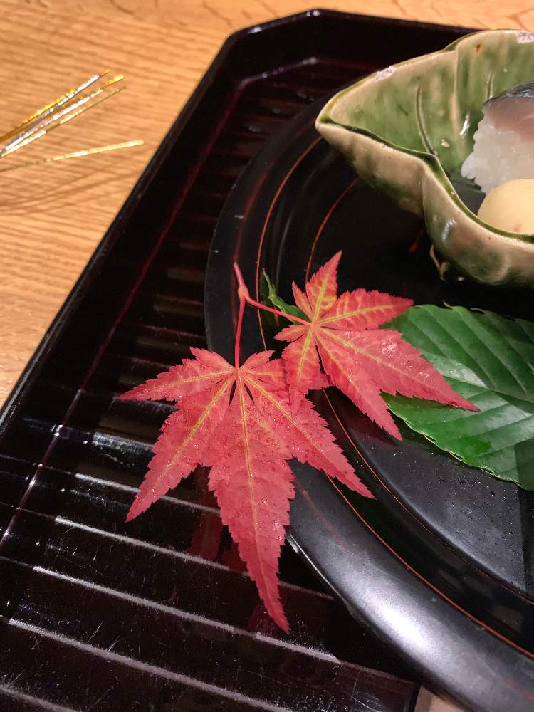 の画像 by YUNNさん | 紅葉ともみじと2019.10と和風と初心者とtripとNaturalとmodernとMODE