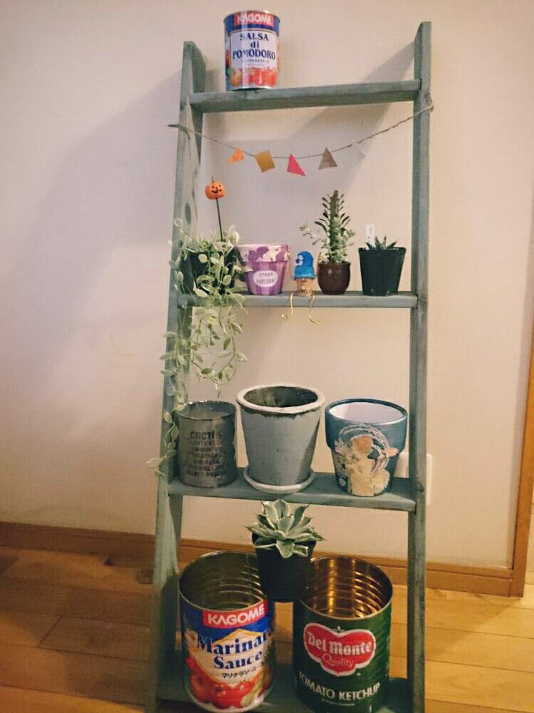 部屋の画像 by GreenGardenさん | 部屋と多肉植物と戦利品と木工市と今日の一枚と多肉女子と多肉好きと錆び好き