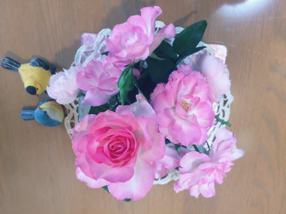 キッチンの画像 by ほっぺさん | キッチンと花のある暮らしとピンク系と秋のバラ