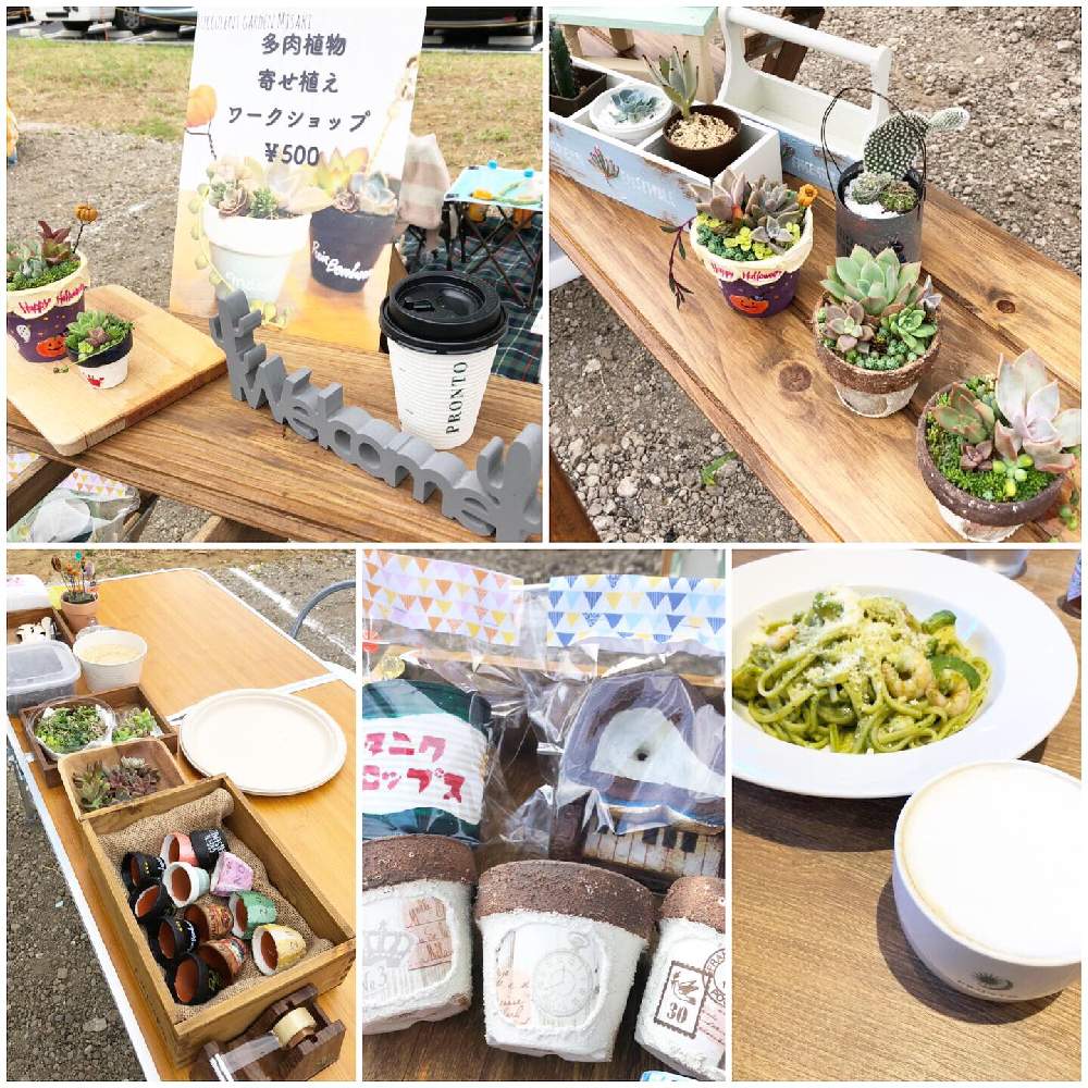 お出かけ先の画像 by Misakiさん | お出かけ先と多肉植物とSucculentgardenMisakiと千葉県と多肉大好きとイベントと普及種と多肉植物寄せ植えと多肉が癒しですと普及種バンザイとイベント出店と多肉ワークショップとお知らせと多肉女子とハンドメイドと多肉植物アレンジメントインストラクターと千葉タニラーとワークショップ