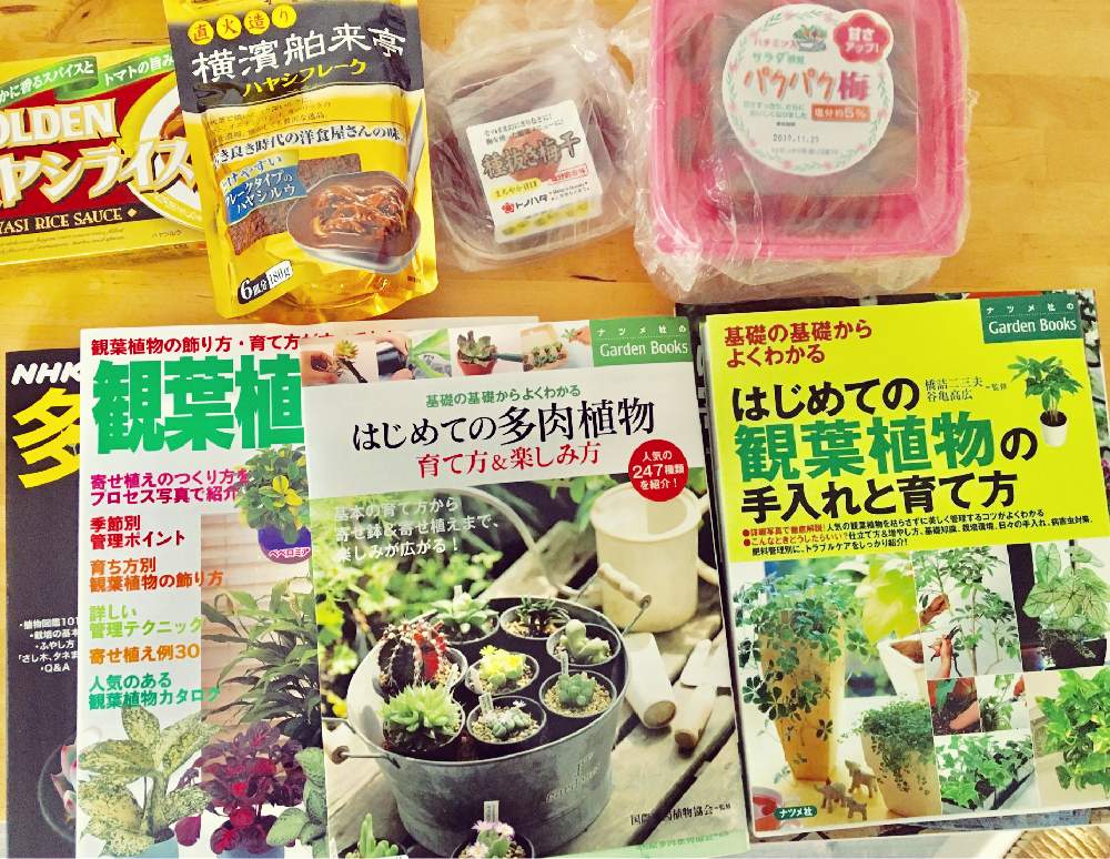棚の画像 by Miyaさん | 棚と植物のある暮らしと植物と動物と花と観葉植物と観葉植物初心者と植物好きと多肉女子と多肉植物とサボテンと植物と動物がいる暮らし幸せな日々と観葉植物がスキと花のある暮らしと自然観察