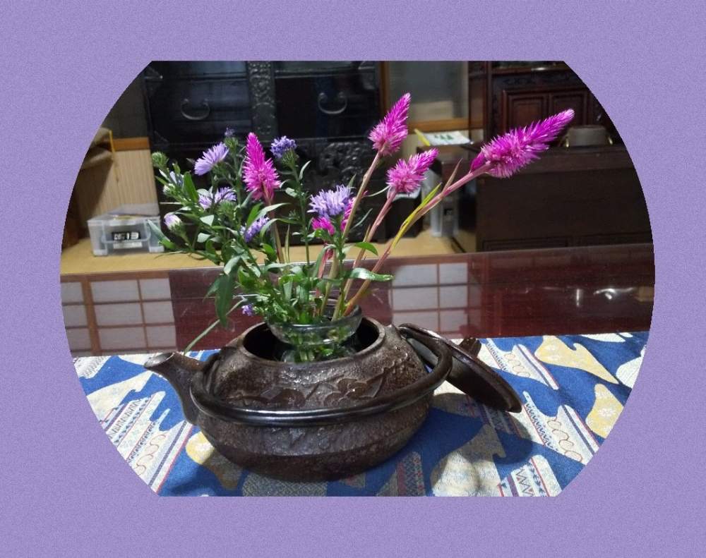和室の画像 by コジロウ★さん | 和室とちいさな花と頑張ってと多肉すきと花のある暮らしと花が好きと秋の花