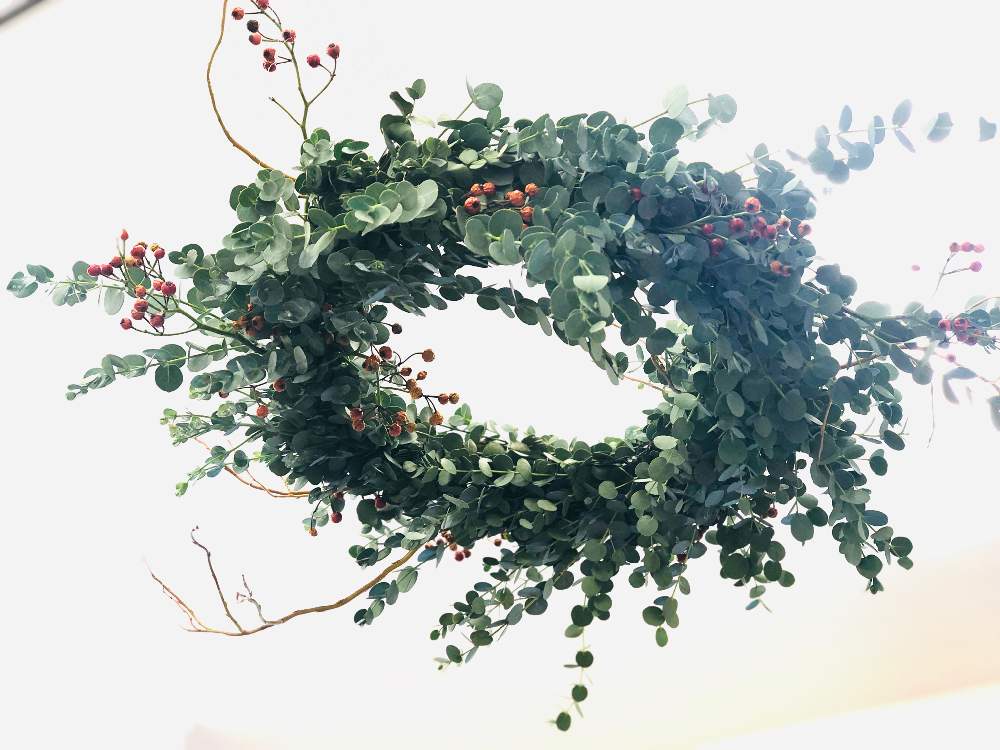 の画像 by sobana.さん | フラワーショップとドライフラワーと秋色とリースとユーカリ♡とフライングリースと花屋とフラワーアレンジメントと花のある暮らしと花は癒やし♡とお花屋さんとバラの実