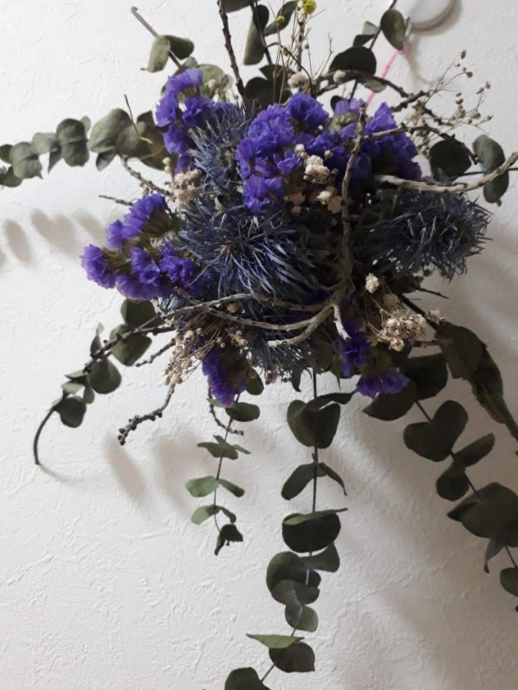 インテリアの画像 by Rummyさん | インテリアと植物のある暮らしとドライフラワーとフラワーと沖縄と自分磨きと自然美と癒し空間と沖縄の花といい香りと花のある暮らしとインテリア雑貨と青空