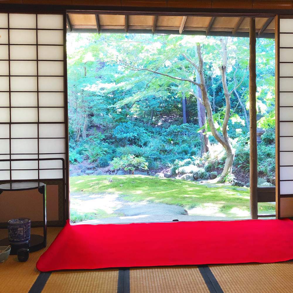 お出かけ先の画像 by うみさん | お出かけ先と日本庭園とGS映えとGS日和と植中毒と緑のある暮らしと旧古河庭園と庭園