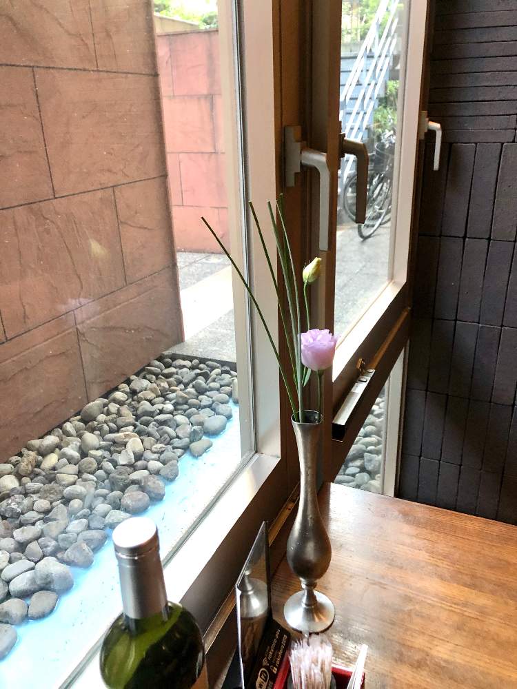 の画像 by えりりんさん | トルコキキョウとベアグラスといけこみと切花と癒しとGS映えときれいと植中毒と秋の気配と花屋とカワイイ葉っぱと花のある暮らしと花は癒やし♡とチーム福岡とやっぱり花が好き♡と切り花