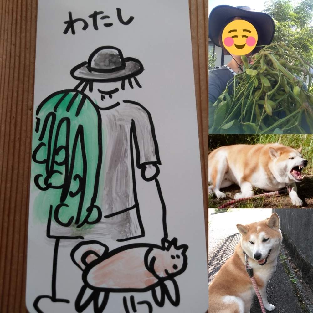 畑の画像 by きゅうちゃんさん | 畑と滋賀県とこたろう