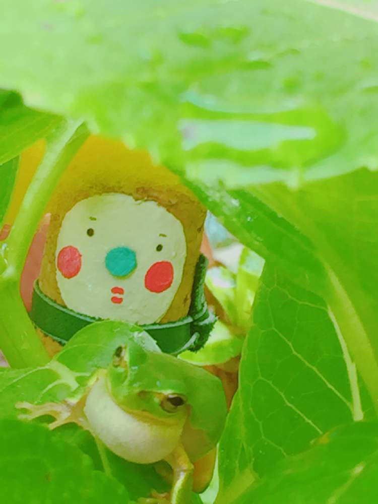 の画像 by Y._.YUKIMIRACLE-Y._.Yさん | カエル倶楽部♡とコルクさん*