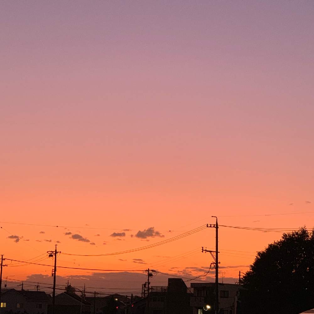 小さな庭の画像 by miyuさん | 小さな庭とみんな優しとイマソラと夕焼けと繋がりに感謝と大好きと今日の1枚とありがとうとGSの繋がりに感謝✨とゆるキャラ倶楽部と花のある暮らしとトキメキ❤と素敵とiPhone撮影