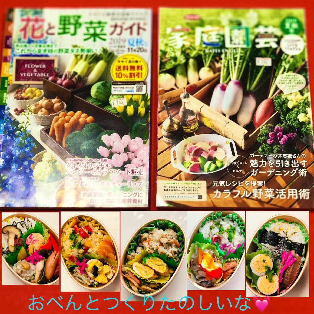 部屋の画像 by イングリッシュガーデンさん | 部屋とタキイ花と野菜ガイド2019夏秋号とサカタのタネのカタログと花のある暮らしとEG料理とEGコラージュ