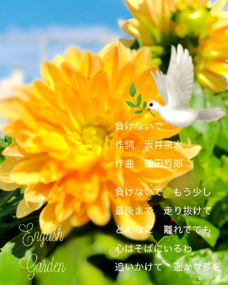 お出かけ先の画像 by イングリッシュガーデンさん | お出かけ先とダリアとGSの友へ❤️と豊橋駅東口コンコースとGS映えと綺麗なお花と花のある暮らしと色合いがキレイとEGお出かけ先