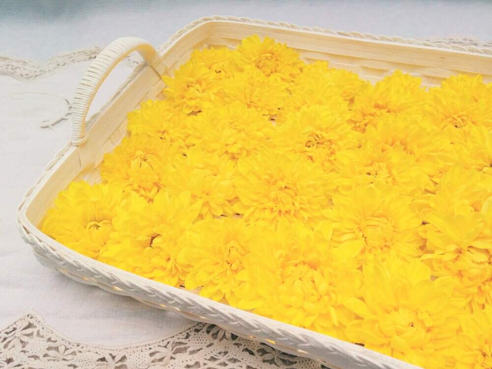 キッチンの画像 by ❀ mimo ❀さん | キッチンと食用菊とネコのいる暮らしといつもありがとう♡と元気になぁれとキレイ☆とグリーングリーン♪と犬のいる暮らしと黄色の花といい香りと花のある暮らしとキク❁と秋の風景とかわいいな♡と小さな秋と癒しのひと時とエコクラフト