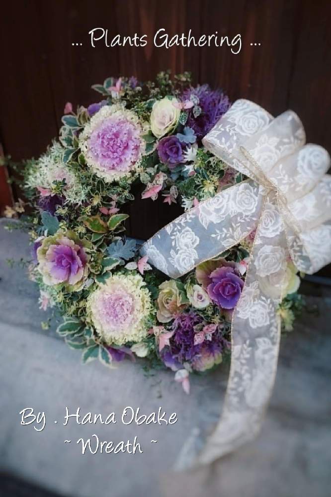小さな庭の画像 by Ayahana♪さん | 小さな庭と♯葉牡丹とプランツギャザリングと寄せ植えと ハボタンとギャザリングとリースとガーデニングとオトナカワイイと花のある暮らしとクリスマスリース