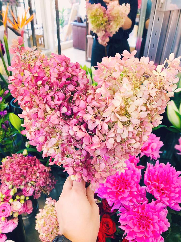 の画像 by えりりんさん | ミナヅキと切花と癒しとGS映えと季節の花ときれいと植中毒と花屋と花のある暮らしとかわいいと花は癒やし♡とチーム福岡とやっぱり花が好き♡と切り花