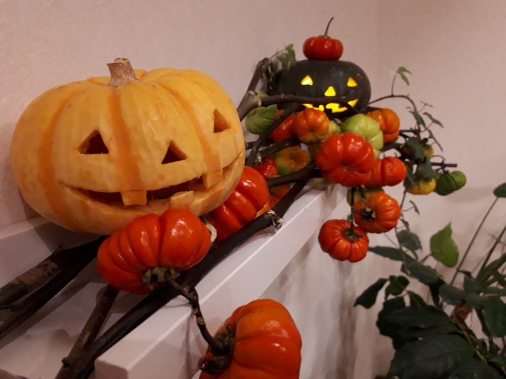 部屋の画像 by fukuさん | 部屋とソラナムパンプキンとプッチィーニとミニ栗カボチャとハロウィンと初挑戦とGS映えと種まき中毒とハロウィンアレンジ♪2019と花のある暮らしと種まきクラブとかわいいな♡とハロウィンかぼちゃ