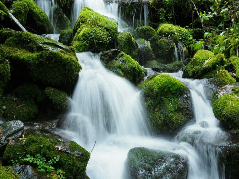 お出かけ先の画像 by ぐりーんさん | お出かけ先と清流とOLYMPUS OM-D E-M5と槍ヶ岳と北アルプスとハイキング・登山と癒され風景と苔(こけ)