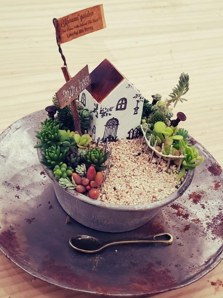 インテリアの画像 by otanico.さん | インテリアと多肉植物と多肉植物寄せ植えと多肉女子と多肉植物とサボテンとタニラーと花のある暮らしと多肉寄せ植えとちまちま寄せとオリジナル 鉢と多肉箱庭