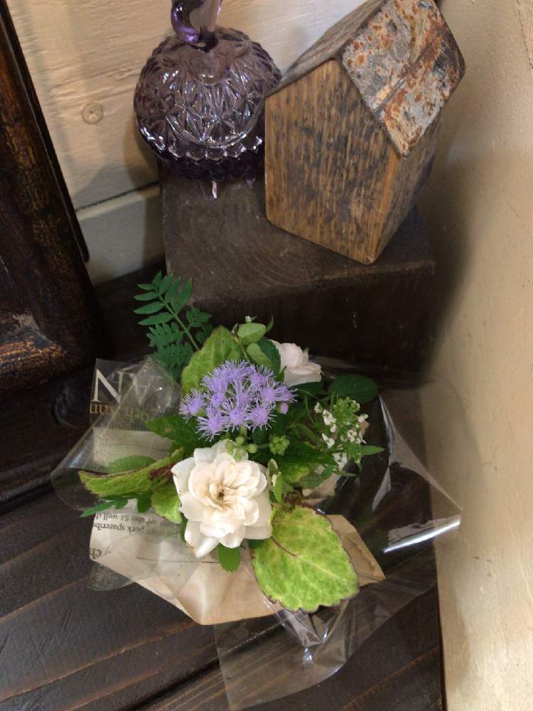 の画像 by tomozoさん | アゲラタムの花と綺麗なミドリとミニバラ好きと小さい花と花のある暮らしとバラ・ミニバラとミニブーケと小さい葉っぱ