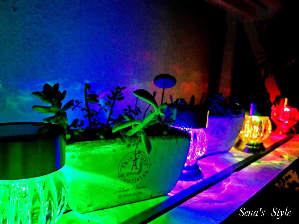 棚の画像 by sena78さん | 棚と多肉植物と照明と照明と植物とみどりのある暮らしと多肉ベビーとソーラーライトと沖縄とGSミニモニ。とガーデンライトと多肉女子とレインボー✨と沖縄タニラーと沖縄北部と多肉寄せ植えとGS植物うちなーぐち会