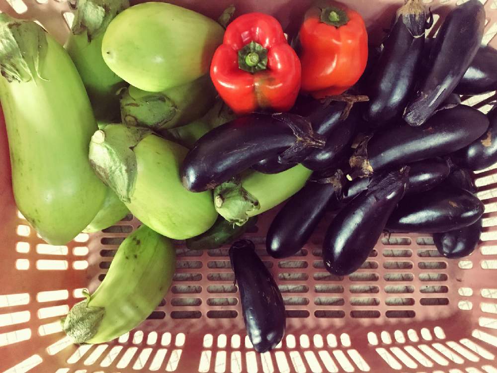 の画像 by ほとちんさん | お裾分けの野菜とお裾分けと日常