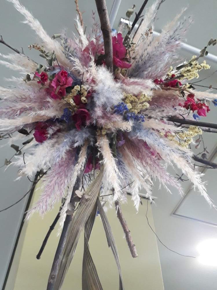 インテリアの画像 by Rummyさん | インテリアと植物のある暮らしとドライフラワーとフラワーと沖縄とGS映えと自分磨きと自然美と癒し空間と沖縄の花といい香りと花のある暮らしとインテリア雑貨と青空