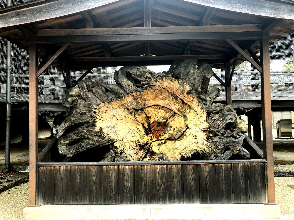 の画像 by 世津ちゃんさん | GS映えと津市と高田本山