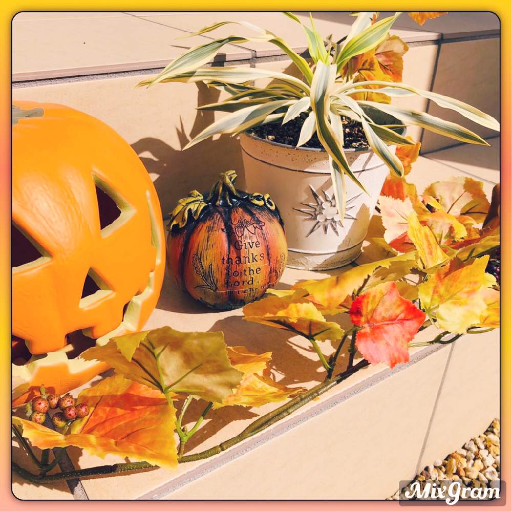 アプローチの画像 by ブレードさん | アプローチと観葉植物を楽しむとユッカ☆とハロウィンディスプレイと観葉植物とユッカ属とわが家の観葉植物❢と南国化計画とユッカブライトとハッピーハロウィンと観葉植物のある暮らしと南国風にしたいとハロウィン❤︎かぼちゃとハロウィン装飾とあきとハロウィン雑貨とハロウィンかぼちゃ