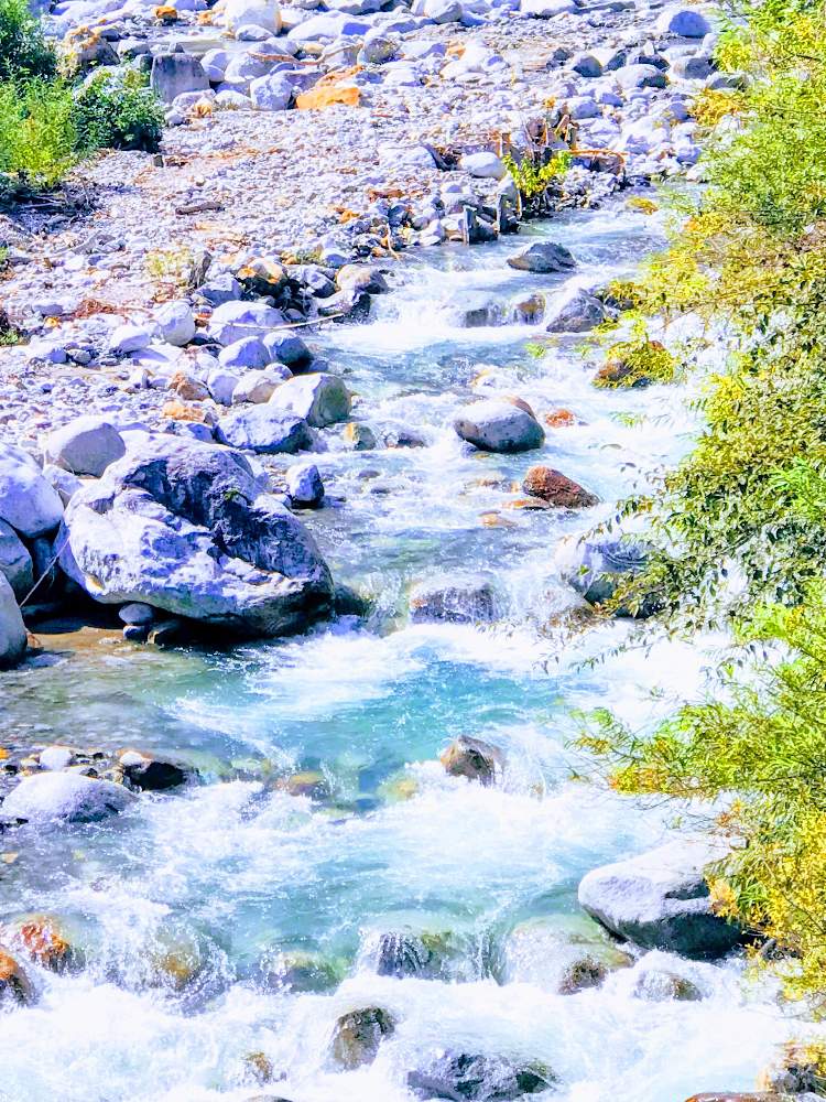 お出かけ先の画像 by チャーさん | お出かけ先と長野県 駒ケ岳と秋を探してとチャーさんのリポートと紅葉前線と駒ケ岳 千畳敷カールと野草と台風一過と山野草と秋を感じると中央アルプス駒ケ岳と季節の 便りと秋の姿とチャーさんの 里山歩きと里山歩きと自然の中でと秋色と太田切川上流