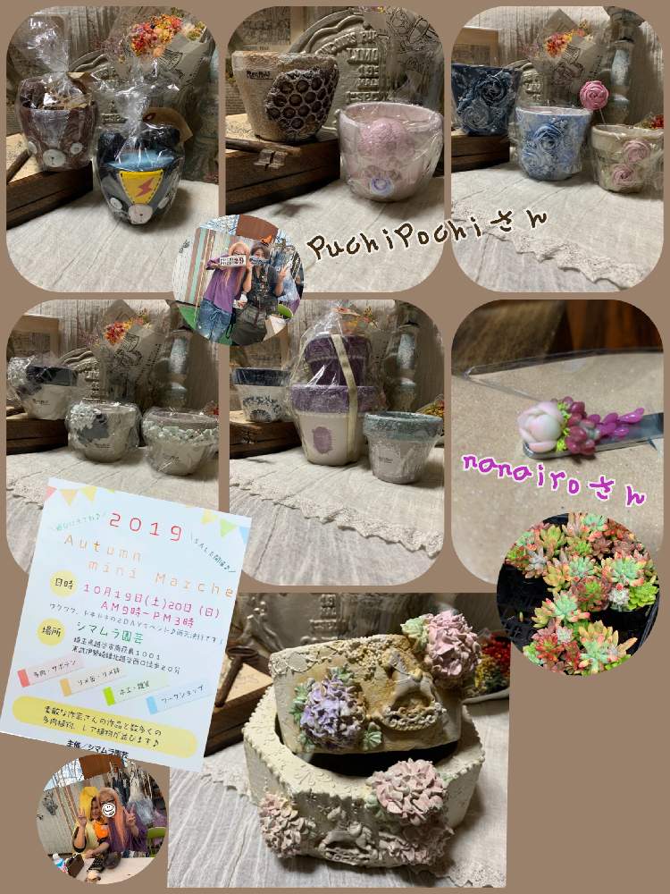 の画像 by KOHさん | シマムラ園芸イベントと多肉繋がり大切♥️とありがとう❤️とシマムラ園芸と多肉女子とnanairoさんのピンセットと◡̈⃝♥️と埼玉県と埼玉タニラーとPuchiPochiサンとたにおたくらぶと発病(✽︎´ཫ`✽︎)♥️