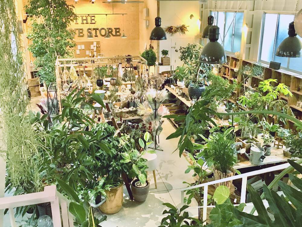 部屋の画像 by THE GROVE STOREさん | 部屋とthe grove store