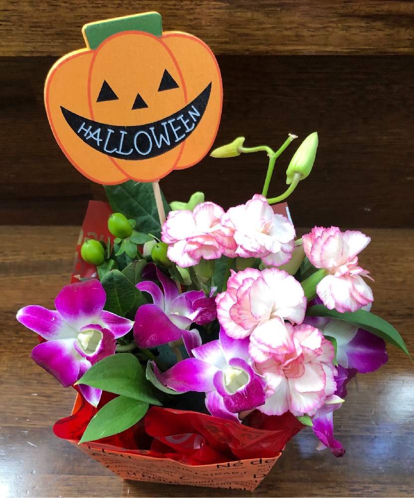 インテリアの画像 by HEATHさん | インテリアとお花いろいろと初心者ですと見切り品とハロウィンとアレンジと花のある暮らし