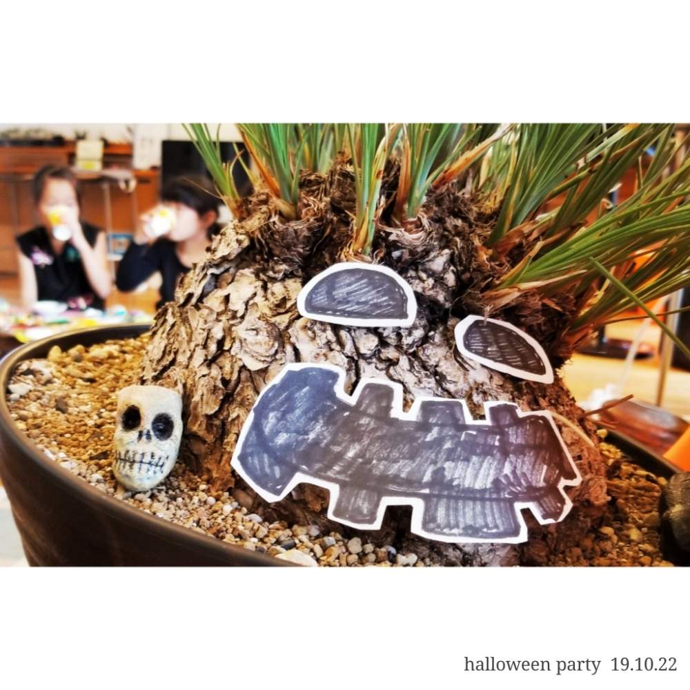 部屋の画像 by ピンピンさん | 部屋とカリバナスフーケリーと植物からパワー❣️と男前植物と植物男子とハロウィンとコーデックスとGSのみなさんに感謝♡と植中毒と塊根植物とハロウィンアレンジ♪2019とフーケリー地位向上委員会